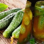 Πώς να κλείσετε τα αγγούρια σε κέτσαπ τσίλι για το χειμώνα: 3 απαράμιλλες συνταγές Πώς να κλείσετε τα αγγούρια σε κέτσαπ τσίλι για το