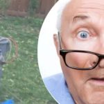 Το παράξενο εύρημα κοντά στο δέντρο άφησε τον γείτονα σε αμηχανία: τι μυστικό έκρυβε Το παράξενο εύρημα κοντά στο δέντρο άφησε τον γείτονα σε