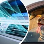 Το κύμα καύσωνα χτυπά την Ουκρανία: πώς να δροσίσετε γρήγορα το εσωτερικό του αυτοκινήτου χωρίς κλιματισμό Το κύμα καύσωνα χτυπά την Ουκρανία: πώς να δροσίσετε γρήγορα