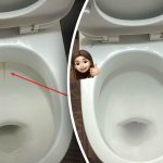 Ένα προϊόν θα λευκάνει τη λεκάνη της τουαλέτας σας σε