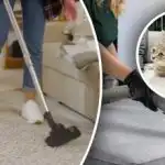 Δεν θα μείνει ούτε ένα ίχνος πίσω: 7 βήματα για