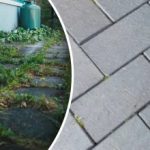 Τα ζιζάνια στην αυλή σας θα εξαφανιστούν σε μια νύχτα