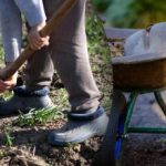 Ημερολόγιο σποράς για τον Σεπτέμβριο του 2025: τι να κάνετε στον κήπο και στον λαχανόκηπο Ημερολόγιο σποράς για τον Σεπτέμβριο του 2025: τι να κάνετε