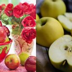 Ποια μήλα είναι καλά για την πέψη και τα επίπεδα