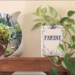 Η δεύτερη ζωή των παλιών πραγμάτων: απροσδόκητες ιδέες για γλάστρες