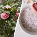 Με αυτό το φάρμακο, τα τριαντάφυλλα θα ανθίσουν όπως ποτέ άλλοτε: Τι είναι το αγγλικό αλάτι; Με αυτό το φάρμακο, τα τριαντάφυλλα θα ανθίσουν όπως ποτέ