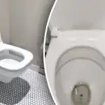 Υδραυλικός αποκαλύπτει ιδιοφυές τέχνασμα: πώς να αφαιρέσετε τα μικρόβια σε