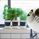 Πώς να καταλάβετε ότι έχετε ποτίσει υπερβολικά ένα λουλούδι: κύρια