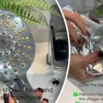 Συσσωρευμένα άλατα με τα χρόνια: Πώς να καθαρίσετε την κεφαλή