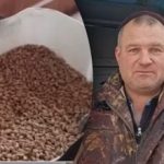 Γιατί οι κότες δεν γεννούν αυγά το χειμώνα: πέντε παράγοντες που πρέπει να γνωρίζετε Γιατί οι κότες δεν γεννούν αυγά το χειμώνα: πέντε παράγοντες