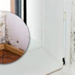 Η μαύρη μούχλα θα εξαφανιστεί σε λίγα λεπτά: υπάρχει μια