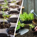 7 πράγματα που πρέπει να κάνετε στο οικόπεδο τον Φεβρουάριο: