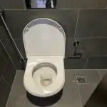 Τι συμβαίνει αν ρίξετε Coca-Cola στην τουαλέτα κατά τη διάρκεια της νύχτας: ένα χημικό πείραμα για υδραυλικούς coca-cola-.jpg