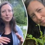 Πώς οι Αμερικανοί καταπολεμούν το σκαθάρι της πατάτας Κολοράντο: χωρίς