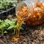 Ο χρυσός κάδος θα σώσει τις καλλιέργειές σας αυτή την άνοιξη unnamed-file.png