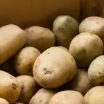 Πότε να βγάλετε τις πατάτες από το κελάρι για φύτευση: