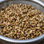 Πώς να κάνετε τον μαϊντανό να φυτρώσει σε τρεις ημέρες και να συγκομίζετε σε κουβάδες unnamed-file.png