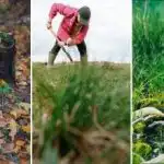 Πώς να καταστρέψετε ένα κούτσουρο δέντρου στο οικόπεδο: μια απλή