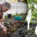 Οι γείτονες γέλασαν μέχρι που είδαν το αποτέλεσμα: γιατί χρειάζονται τα πιρούνια στον λαχανόκηπο Οι γείτονες γέλασαν μέχρι που είδαν το αποτέλεσμα: γιατί χρειάζονται