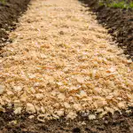 Πέντε λόγοι για να καλύπτετε τα κρεβάτια με πριονίδι ήδη από τον Απρίλιο unnamed-file.png