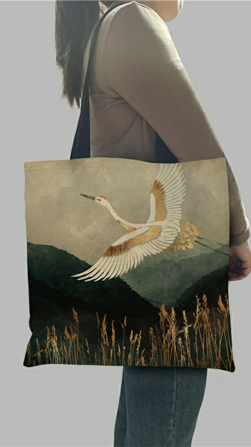 Με τι να αντικαταστήσετε μια σακούλα από σακούλες