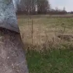 Ουκρανή γυναίκα δείχνει πώς να ξεφορτωθεί το σιταρόχορτο από το οικόπεδο για πάντα: δεν χρειάζονται ζιζανιοκτόνα Ουκρανή γυναίκα δείχνει πώς να ξεφορτωθεί το σιταρόχορτο από το