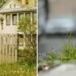 Πώς να ποτίσετε τα ζιζάνια κατά μήκος του φράχτη: εξαφανίζονται